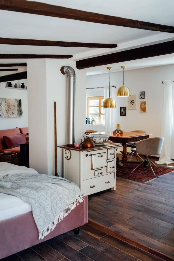 Apartment Aussee- Atelier Salzherrenhof- Kueche, Wlan, Netflix Bad Aussee Exteriér fotografie